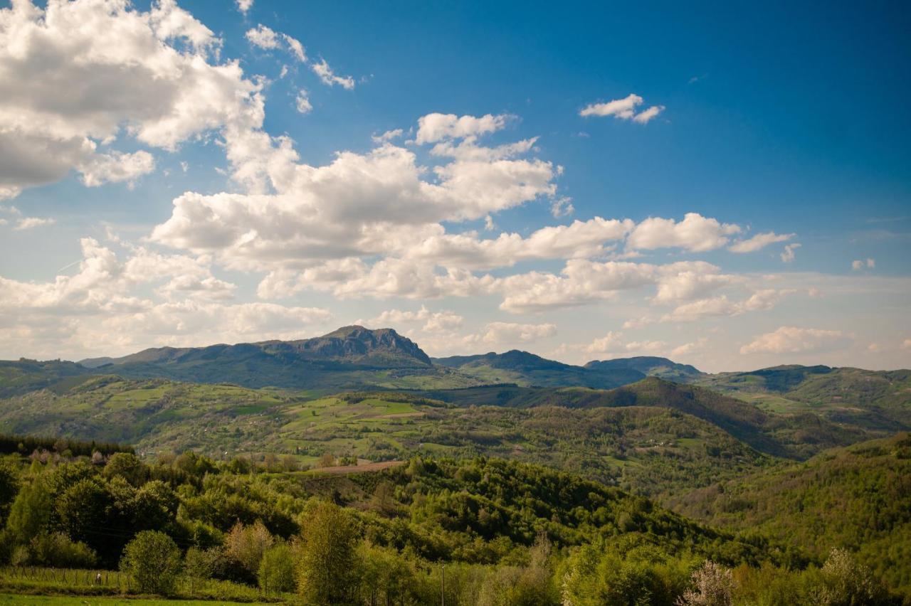 Vila Angelina Kušići Exterior foto